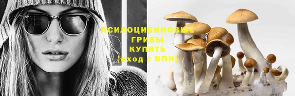 мяу мяу мука Киренск
