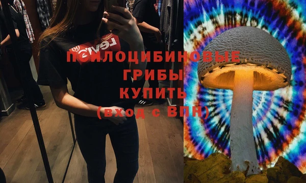 стаф Магас