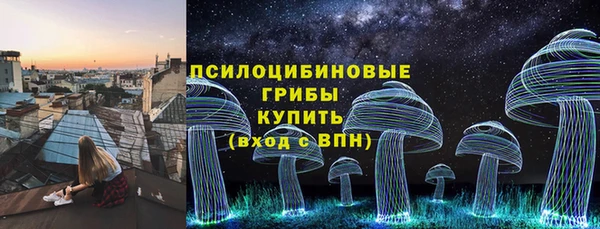 apvp Майский