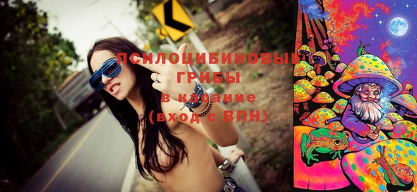 стаф Магас