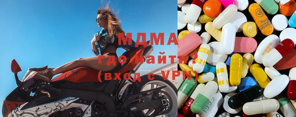 стаф Магас