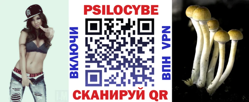 Галлюциногенные грибы GOLDEN TEACHER  хочу наркоту  Железногорск 