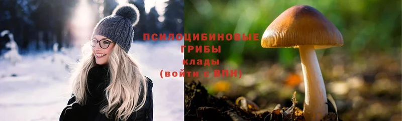 Псилоцибиновые грибы Magic Shrooms  что такое наркотик  мориарти формула  Железногорск 