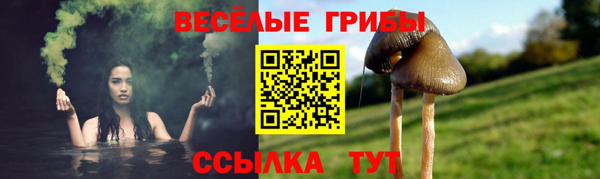 Железногорск  Псилоцибиновые грибы GOLDEN TEACHER  Вход с VPN 