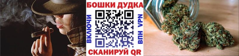 Бошки марихуана THC 21%  Железногорск 